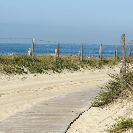 Patio Hossegor And Ocean Soorts-Hossegor